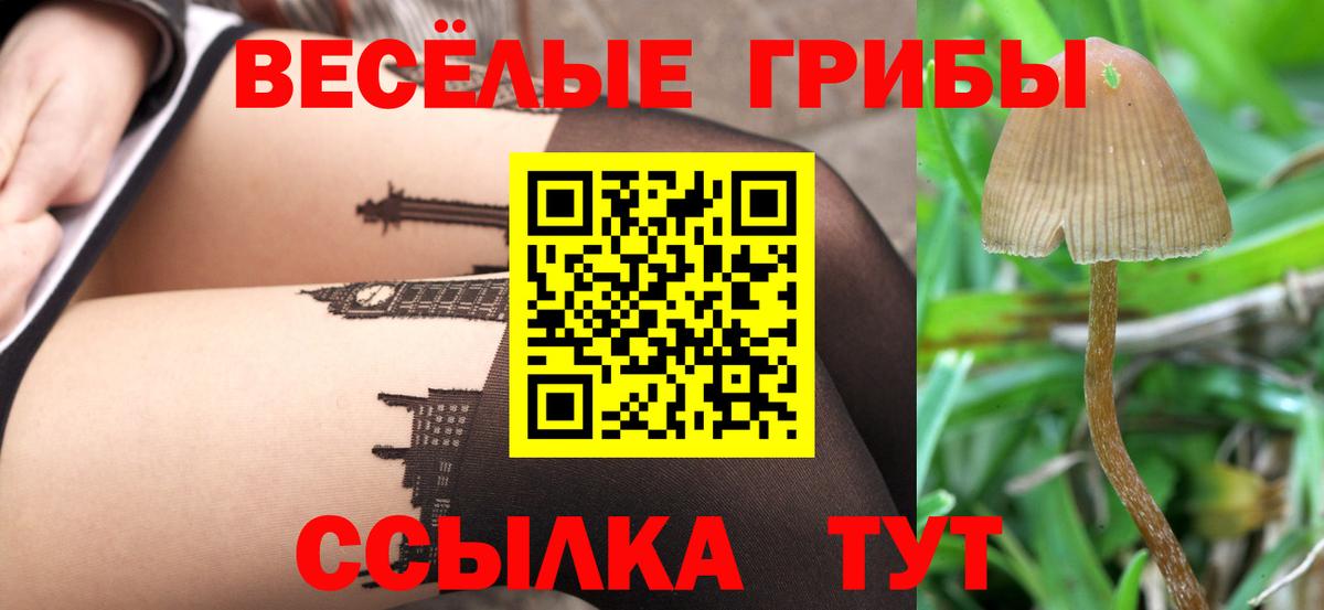 Галлюциногенные грибы ЛСД Канск