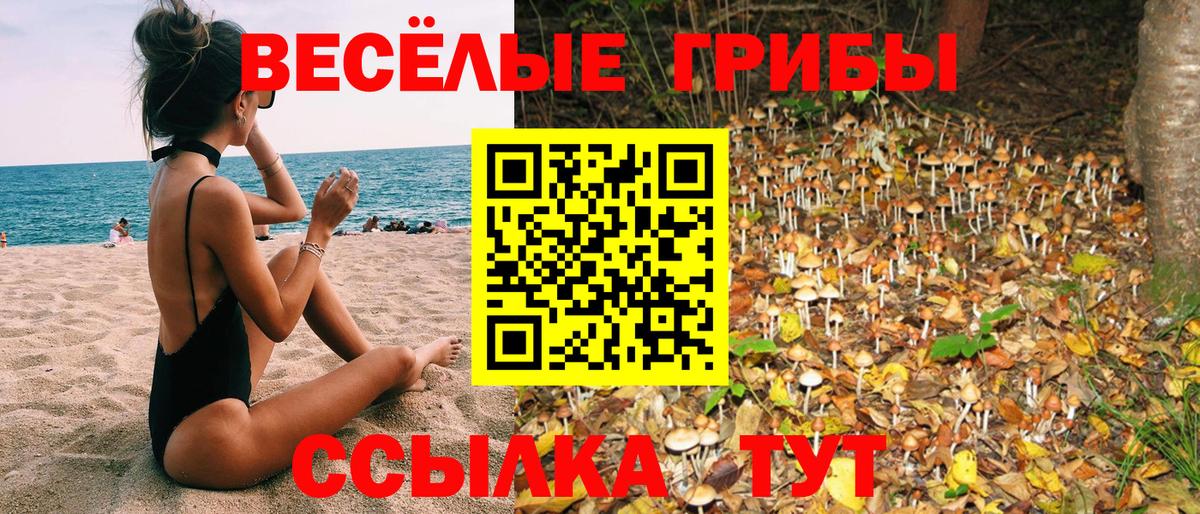 Канск  Галлюциногенные грибы прущие грибы  Вход с VPN 